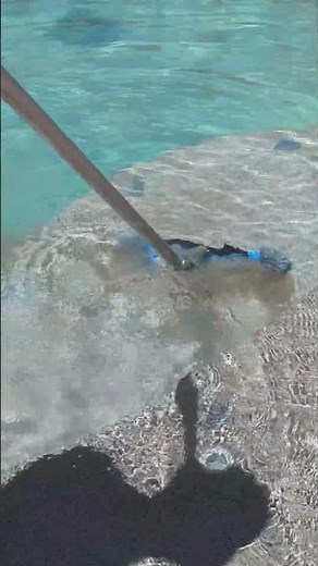 This pool brush reaches spots nothing else can #poolcleaning #gadget #hack