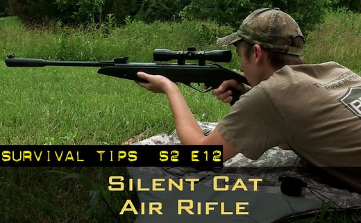 Gamo Silent Cat Air Rifle | Survival News Online
