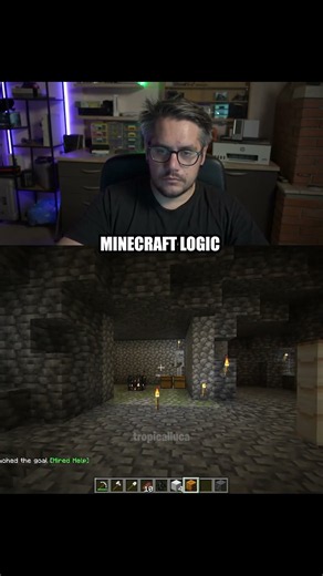MINECRAFT LOGIC.. #tropicalluca #minecraft
