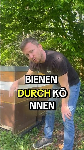 Wie wohnt eigentlich so ein Bienenvolk? 🏡🐝 Ein kurzer Blick in die Bienen-WG!