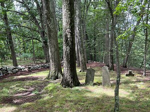 1800s Slave Cemetery, Hidden In Mahwah Woods, Is Restored By Boy Scout And Volunteers