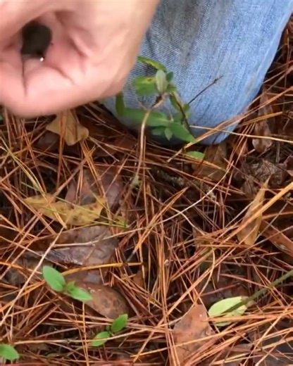 Our Secret Tool... 😂 #history #historyseekers #metaldetecting | History Seekers