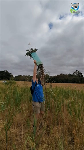 102K views · 694 reactions | This tree was planted in 2022 in...