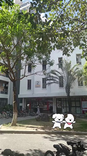 cc's vlog｜商演的这几天 天天熬大夜 大四没课不考研不考公的一天