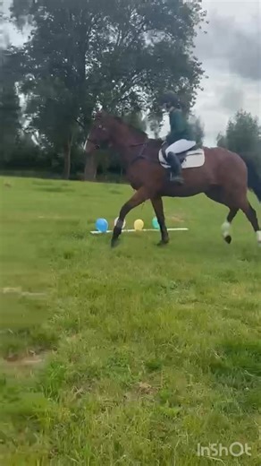 Today we practiced games in preparation for gold cup. A firm favourite was balloon popping 🦄🎈 Thanks Marika for the videos 📹 | Otorohanga Pony Club