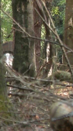 10K views · 98 reactions | There he is! #BackwoodsLife | Backwoods Life | Facebook