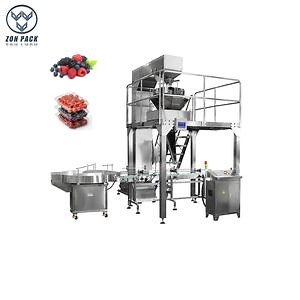 [Hot Item] Filling Machinery Full Automatic Clamshell Plastic Grape Punnet Packaging Filling Packing Machine