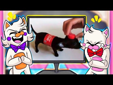 Lolbits Try Not To Laugh Reaction