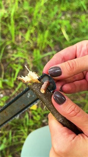 Reciclagem inteligente de objetos antigos ao ar livre! ♻️