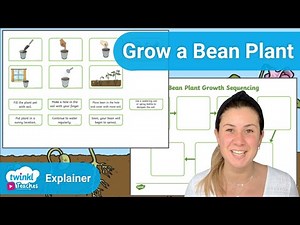 Learning How to Grow a Bean Plant