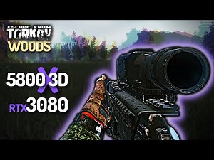 AMD Ryzen 7 5800X3D + RTX 3080 10GB Escape From Tarkov 12.12.3 Woods, Survivalist Path ZB-014 1440p
