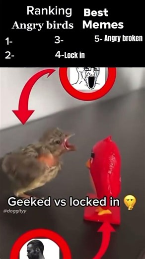 MeMeS AnGrY BiRdS #memes