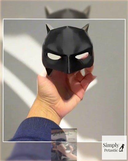 Superhero Cat Mask for TikTok Trends