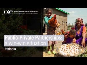 Public-Private Partnerships, a win win situation: Ethiopia