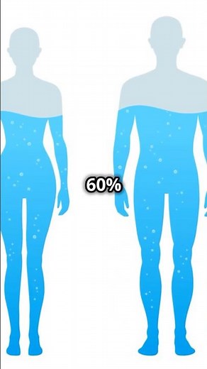 How much water is in the human body?