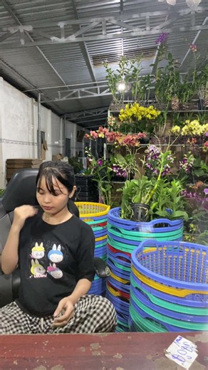 (Flower Reference) Hotline: 090.317.7978 ☎️☎️