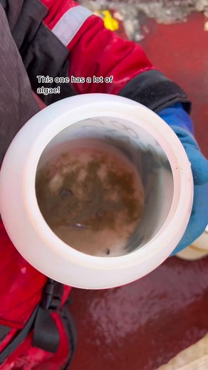 How we sample zooplankton and larval fish in the Arctic #marinebiologist #arctic #womeninstem #science #fish #nunavut