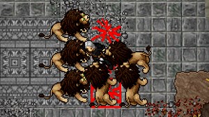 Hunt for Knights level 50  in Lion's Rock | Intibia