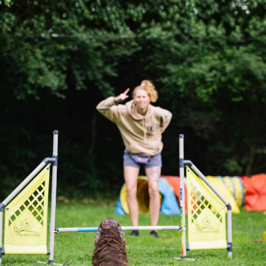 482 reactions · 14 comments | No more yelling "Stay!" over and over...