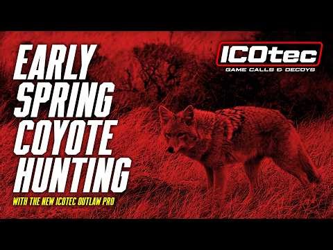 Coyote Hunting in Early Spring with the NEW Outlaw Pro | ICOtec Recap - March 2026