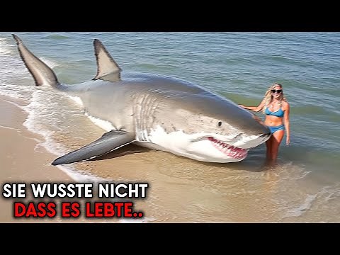 Die SCHLIMMSTEN Haiangriffe Auf MENSCHEN aller Zeiten!
