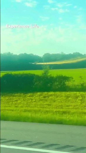 Crop Dusting Plane Spraying Fields | Agricultural Aircraft Applying Pesticide