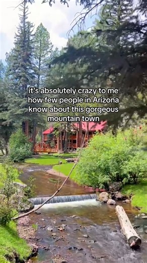 Greer is only 3.5 hours from Phoenix and a freaking stunning change of pace from the valley! it’s one of the most beautiful, tranquil towns we’ve ever been to 🌲 Here’s what should be on your list while you visit: 🌲If you like hiking, try the “government springs” creekside hike or the “Mount baldy” if you like a more difficult journey 🎣 For fishing, they have amazing lakes like “river reservoir” that are full of trout! You can stock up at The Lazy Trout Market & Lodge general store in town. 🍽