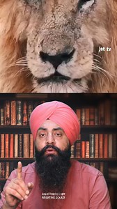 1.2M views · 44K reactions | "The King of the Savannah: Scarface, the Most Powerful Lion! 女"#ScarfaceTheLion #WildBattles #LionKing #Savannah #Wildlife #Nature #PowerfulLion #Roar #KingOfTheJungle | Jot Tv Media | Facebook