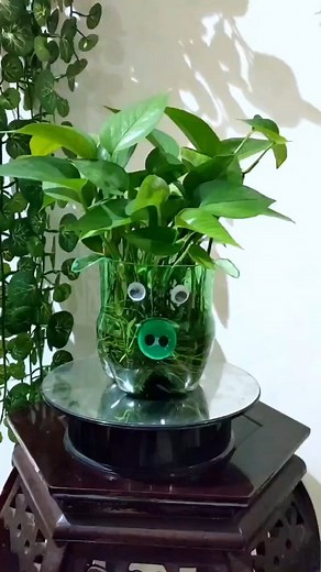 22K views · 112 reactions | Fácil de hacer y hermoso #reciclaje #diy | Ronin Medina | Facebook