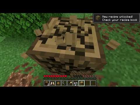 Third day of 1 minute Minecraft (Abe)