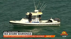 Shark warning for Perth beaches