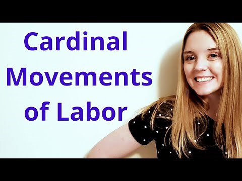 CARDINAL MOVEMENTS OF LABOR/LABOUR | MECHANISMS OF LABOR/LABOUR
