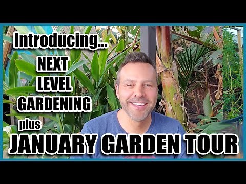 January Garden Tour - And Introducing... Next Level Gardening