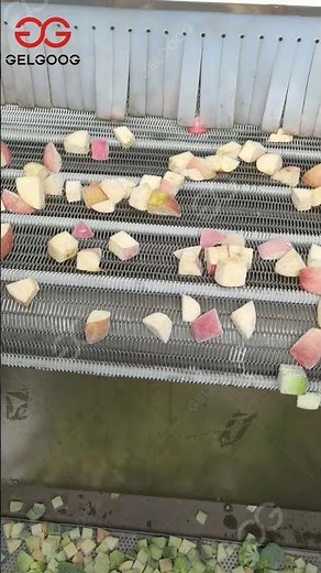 Fruit And Vegetable Quick Freezing Machine/IQF Fluidized Tunnel Freezer