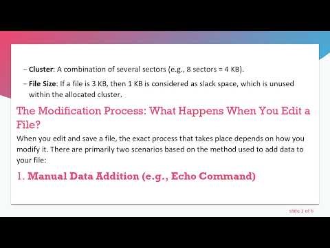 How Does an Operating System Handle File Modifications? A Comprehensive Guide