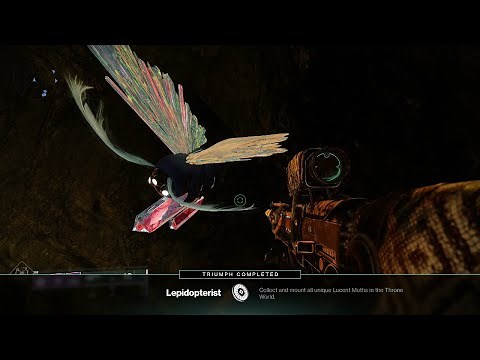 Destiny 2 - Altar of Reflection Lucent Moth Location - Witch Queen Week 5