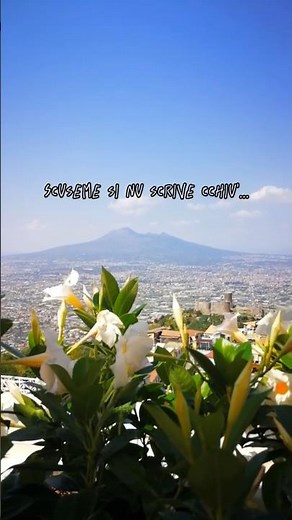 #celinedion #napoli #campania #canzoninapoletane #musicanapoletana #musicaitaliana #canzonidamore