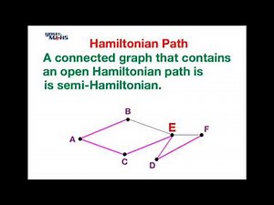 Hamiltonian Path