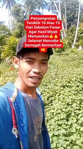 135K views · 1K reactions | #Tutorial Sederhana Penyemprotan Terakhir 10 Atau 15 Hari Sebelum Panen Agar Hasil Miyak Memuaskan Selamat Mencoba Semogah Bermanfaat爐 #Tutorial #sederhana #reelsfyp #jangkauanluas #sorotan #semuaorang Bagian 1 | Sahiruddin ILham Kansas | Facebook