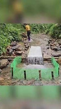 The girl caught fish in the river and took them to sell#primitivefishing #bushcraftfishing #fishing