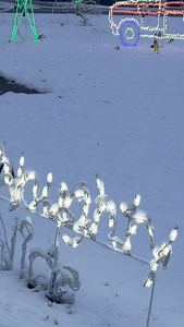 9.3K views · 372 reactions | We have DINNER PLATE SIZE SNOW FLAKES falling on the Oklahoma City Metro this morning! This means lift at the mid-level dendrite growth zone with this banded structure to the first real #snow event for OKC! Snowfall will accumulate a couple of inches on the grassy surfaces! A winter weather advisory is in effect until 3 pm! #snow #stormchasing #snomg | Reed Timmer Extreme Meteorologist | Facebook