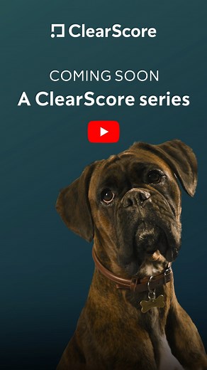 We're all set for the return of our new TV ads featuring Moose and Charlie, are you? #watdoing #moosethedog #clearscore | ClearScore