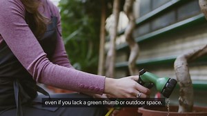 Indoor Gardening Basics for Beginners