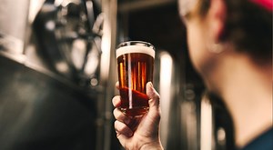 7 Facts All About Beer