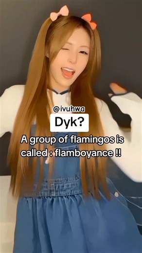 ࣪ ׅ ᧔ຼִ︢ෆ̼ᩧׁ᧓ׁ ᩙִ ղֺᧉ͡ᩘꛃִ ƨִꪱᧄᩘ͟ⴄ ࣭ ࣪ ׅׅ ෧᪶ᩘׂᰩ໑ ׂ݂̑ ۫ 𝅄 ࣭ ۫ ϰ͡ᩘ𝖾͟ꭋꛆֺⴗ ⱱִ͡ιɓ͟ᧉ ࣪ ׅ 𑁯͜ᩚᨪ ࣪ ࣪ ׅ ꒰̫ᩚ ᐢ. .ᐢ ꒱̫ᩚ . ᜒ ᜔ ⲥ͟ꭤֺ𐑾𑀱ִ𑄈͡ᩘ𑄜ִⴄֺ𐓯 ᪤̼᪲͡ ݂ ┈─ ⟨ wtf is going on w tt ⟩ ݁ ִ ֹ ೯͟ᩚ ׂ 𑂘ֺꛃִᧉᩘᧉִƾ͟ & ⴣִնֺⴜ͡ᩘⴜִʮֺ ִ ֹ ໑᷒ᰰ̫ ׄ ִ 𝂅 ֹ . ⌒᷼ᩘ︵͟ ⴅִ͝ⴗ իִᧉ͡ᩘ𐓟ִꭋֺꞎ⠀ֹ 𐌂᪲͞𐌂᪶ ࣪ ݂ ᦋֺҩִᧉ͟ᩘ𐓯ֺ 𝂅ׄ ၇ᩧ𐑼᪶ ⠀̤ ˖ ꞗִ𑄙͝𑄝ִɱֺ ׄ ׅׅ ʾ ︵ ͡ ᩚ あ̫ᩚ ׅ ׂ ۪ 𐓧ֺ𐑾ִᧉᩘɗꪱꬷִઠֺ ʓִֺҩր͡ᩘִᧉ ꢆᩚ͜͡ ֺ ׅ ׂ ׄ ⟅̫ᩘ⟅ ࣭ ֺιִϰ𐓯ֺ𐔋ִꪱ𐐲͟ᧉᩘꛆ ɓֺ͟ⴣ : ﹫ ֺⲥɬ͟ꬷ𐑾ִֺҩ ֺ ˓ ꮚ᪶⃔ ࣪ ׅ ࣪ ⧼ᩘ͟ ࣪ ׄ ׅ ֹ ⱱ͡ᩘִԍ : ⧼ 원ִᩘ화ֺ연ִ ⧽ 𑁯᪶ᰍᩧ ۪ ׄ ֹ ֪ ᩘ ׅ ՞ ׅ ׄ ൯᪶֟፝ 𐓧ִ𐓟͝𐔋͟ƾֺιᦅִ͡