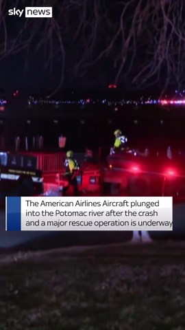 Rescuers search for survivors after mid-air crash