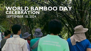 3K views · 57 reactions | In celebration of World Bamboo Day, the...