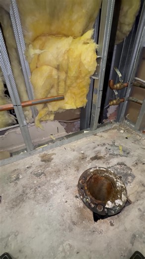 Choosing the Right Toilet: Floor Mounted vs Back Outlet