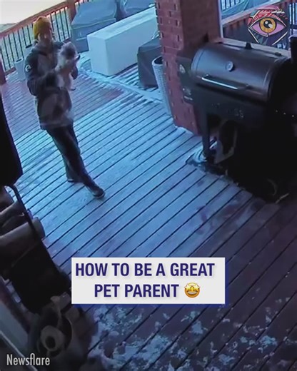 How to be a good pet parent 🐾❤️ | Bright Side