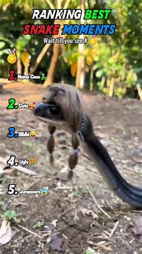 Ranking the BEST and funniest snake moments! 🐍😂